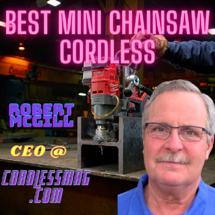 Best Mini Chainsaw Cordless